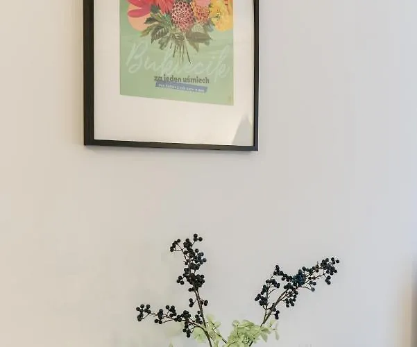 شقة Kwiatowa Center By Renters بوزنان